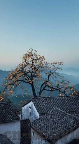 国产亚洲一区二区精品-国产影视的多元魅力，一区二区的艺术探索与文化价值
