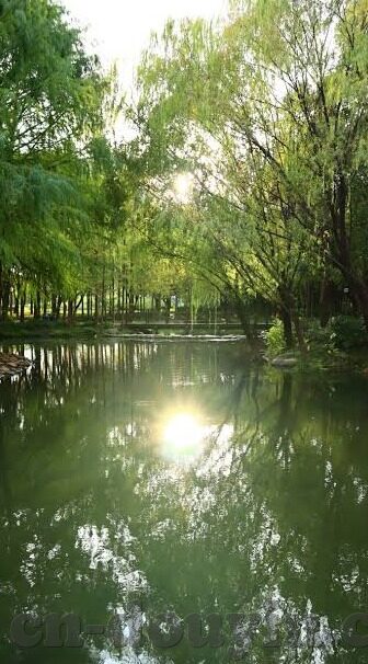 国产一区二区三区在线视频-国产一区二区三区在线视频，网络文化新生态的多元视角