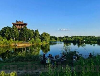 黄色视频人妻-黄色视频与家庭伦理的边界，人妻角色的复杂探讨