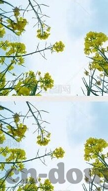 伦理12点电影完整版-伦理的边界，观影伦理12点的深度思考