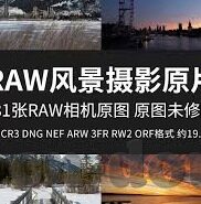 芒果大象回家视频-芒果、大象与回家的奇迹，一则温馨视频的背后故事