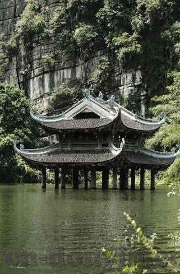 人妻久久久久久精品-探索人妻角色的多维度呈现，从久久久久久精品看生活与情感的细腻交织