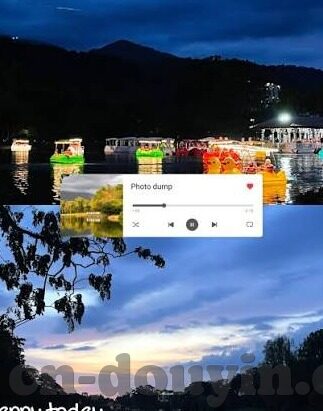 视频免费成人-视频免费成人，网络时代的文化交汇与挑战