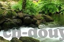 糖心vlog是干嘛的-揭秘糖心Vlog，记录生活点滴的时尚新潮流