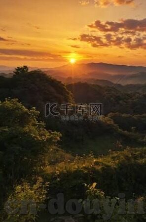 www800av麻豆-探索成年世界的色彩之窗——WWW800AV的数据洞见